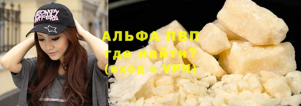 spice Бородино
