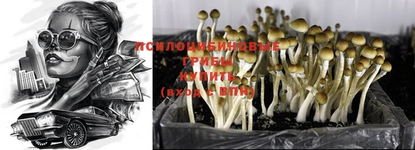 apvp Бугульма
