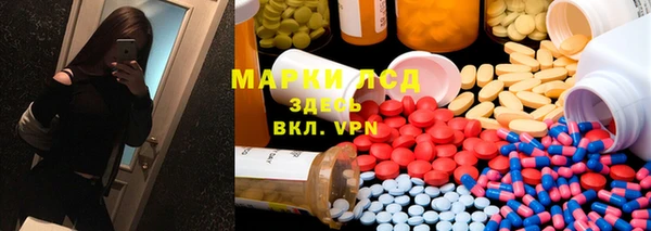 spice Бородино